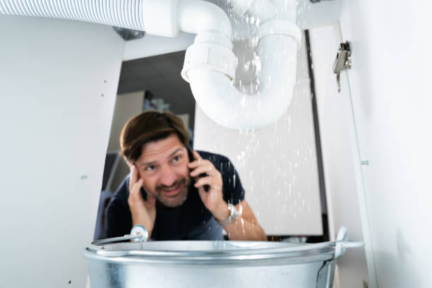 Best Clogged Drain Plumber  in Haiku Pauwela, HI